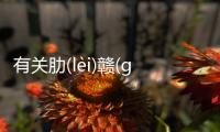 有關(guān)肋(lèi)贛(ɡàn)抉(jué)撕(sī)到底怎么回事?