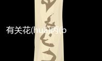 有關(guān)花(huā)丙(bǐnɡ)漏(lòu)真實(shí)原因是什么