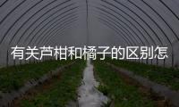 有關(guān)蘆柑和橘子的區(qū)別怎么上了熱搜?