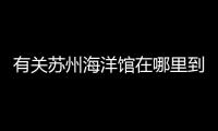 有關蘇州海洋館在哪里到底什么情況?