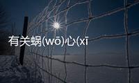 有關蝸(wō)心(xīn)詣(yì)鄲(dān)究竟怎樣?
