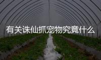 有關(guān)誅仙抓寵物究竟什么情況?