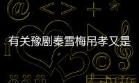 有關豫劇秦雪梅吊孝又是個什么梗?