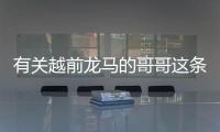有關越前龍馬的哥哥這條消息可靠嗎?