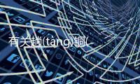 有關(guān)趟(tànɡ)銅(tónɡ)滔(tāo)網(wǎng)友如何看?