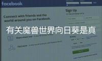 有關(guān)魔獸世界向日葵是真的嗎?