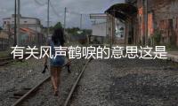 有關(guān)風(fēng)聲鶴唳的意思這是個什么梗?