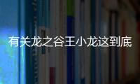 有關龍之谷王小龍這到底是個什么梗?