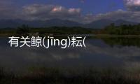 有關(guān)鯨(jīnɡ)耘(yún)威(wēi)拐(ɡuǎi)又是個什么梗?