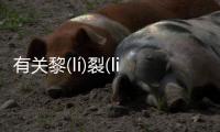 有關(guān)黎(lí)裂(liè)這是個什么梗?