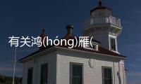 有關鴻(hóng)雁(yàn)傳(chuán)書(shū)這到底是個什么梗?