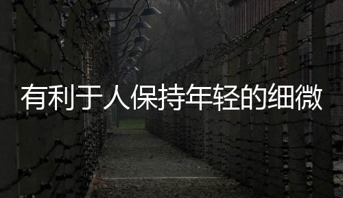 有利于人保持年輕的細微好習慣