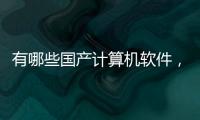有哪些國產(chǎn)計算機軟件，關(guān)于首款國產(chǎn)科技計算軟件公司詳細情況