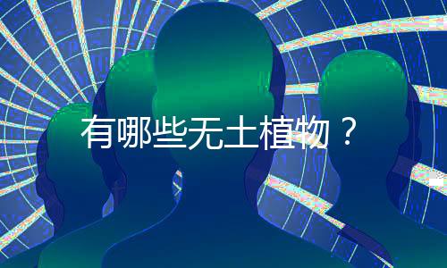 有哪些無土植物？