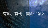 有地、有錢，國企“殺入”養豬業