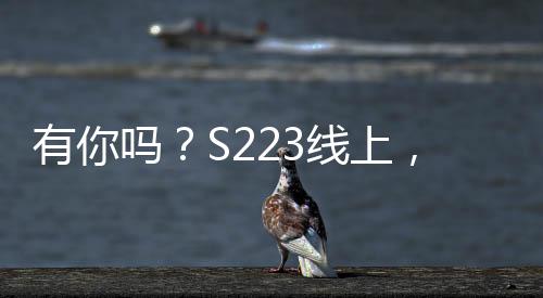 有你嗎?S223線上,一大批超速車輛被高清抓拍并曝光...
