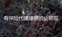 有保險代理牌照的公司現在值多少錢