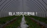有人頂風(fēng)吃野味！
