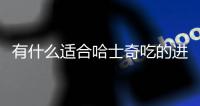 有什么適合哈士奇吃的進口狗糧品牌(有什么適合哈士奇吃的進口狗糧呢)