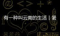 有一種叫云南的生活丨暑夏清涼游 百萬游客盡享21℃昭通