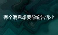有個(gè)消息想要偷偷告訴小凱海賊王要拍真人版啦
