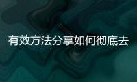 有效方法分享如何徹底去除家中虱子問題