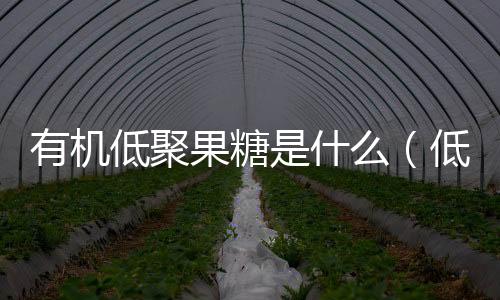 有機低聚果糖是什么（低聚果糖是什么）