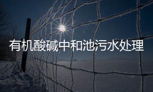 有機酸堿中和池污水處理設備