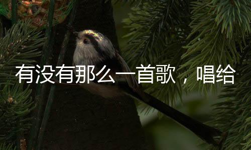 有沒有那么一首歌，唱給中國記者？