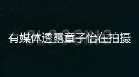 有媒體透露章子怡在拍攝上陽賦時不幸意外受傷