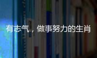 有志氣，做事努力的生肖男，勇往直前越努力越幸運，事業(yè)紅