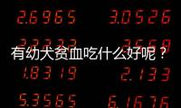 有幼犬貧血吃什么好呢？幼犬貧血吃什么食物好