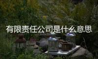 有限責(zé)任公司是什么意思?。ㄓ邢挢?zé)任公司是什么意思）