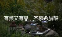 有顏又有品，圣慕希臘酸奶搶占商機(jī)！