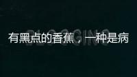 有黑點(diǎn)的香蕉，一種是病一種是藥