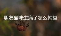 朋友貓咪生病了怎么恢復正常？朋友貓咪生病了怎么恢復聊天記錄