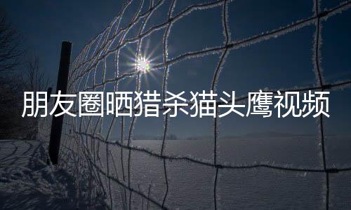 朋友圈曬獵殺貓頭鷹視頻 仙游兩名男子被網友舉報