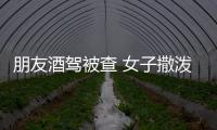 朋友酒駕被查 女子撒潑辱罵飛踹交警面臨刑拘
