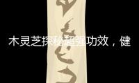 木靈芝探秘超強功效，健康美肌一網打盡！