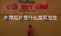 木犀瓜片是什么菜系發生了什么?