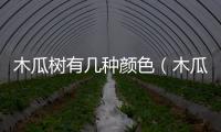 木瓜樹有幾種顏色（木瓜樹有幾種）