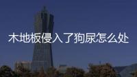 木地板侵入了狗尿怎么處理(地板被小狗尿了怎么處理)
