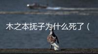 木之本撫子為什么死了（木之本撫子是怎么死的）