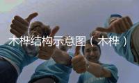 木榫結(jié)構(gòu)示意圖（木榫）