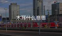 木耳什么意思