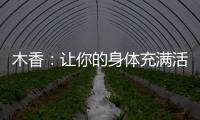 木香：讓你的身體充滿活力，煥發青春光彩！