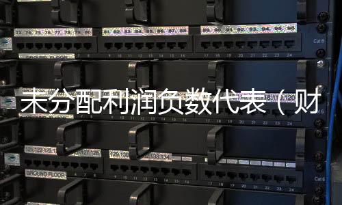 未分配利潤負數代表（財務報表上的未分配利潤負數是什么意思）