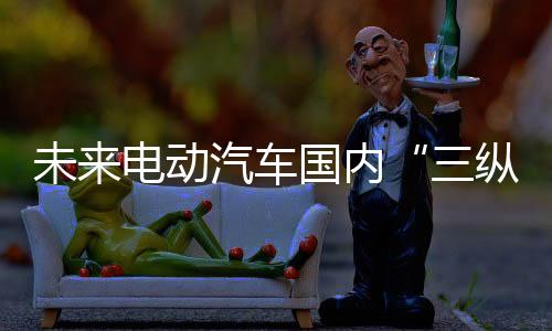 未來(lái)電動(dòng)汽車(chē)國(guó)內(nèi)“三縱三橫”格局形成