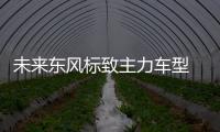 未來東風(fēng)標(biāo)致主力車型 全新標(biāo)致508官圖曝光