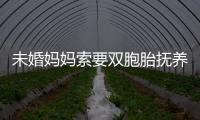 未婚媽媽索要雙胞胎撫養(yǎng)費(fèi)找錯(cuò)父親